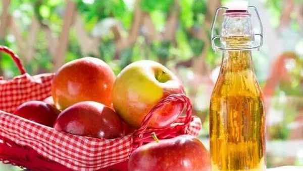 Яблучний оцет: приготування в домашніх умовах. Чому краще готувати оцет з яблук вдома